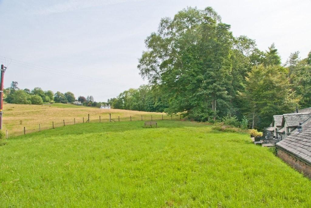 Meadow within Communal Grounds