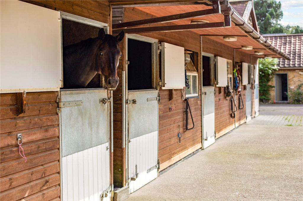 Stables