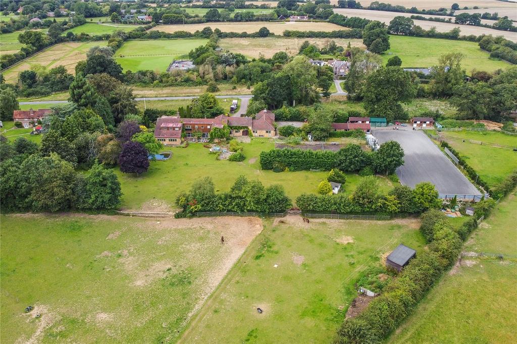Aerial Shot