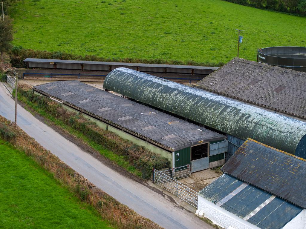 Cattle Cubicle Shed