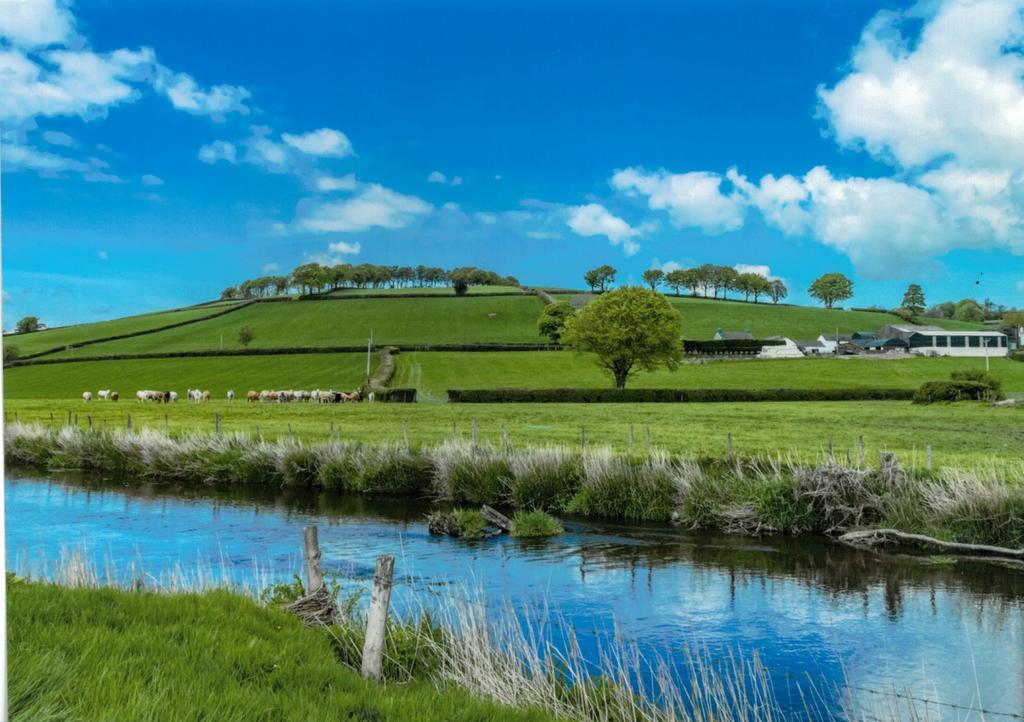 River Teifi Frontage and Fishing beat