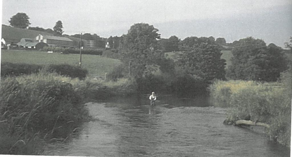 River Teifi Frontage and Fishing beat