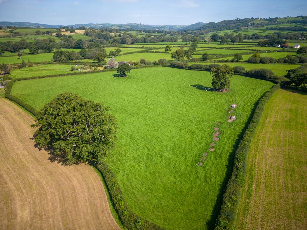 The Land