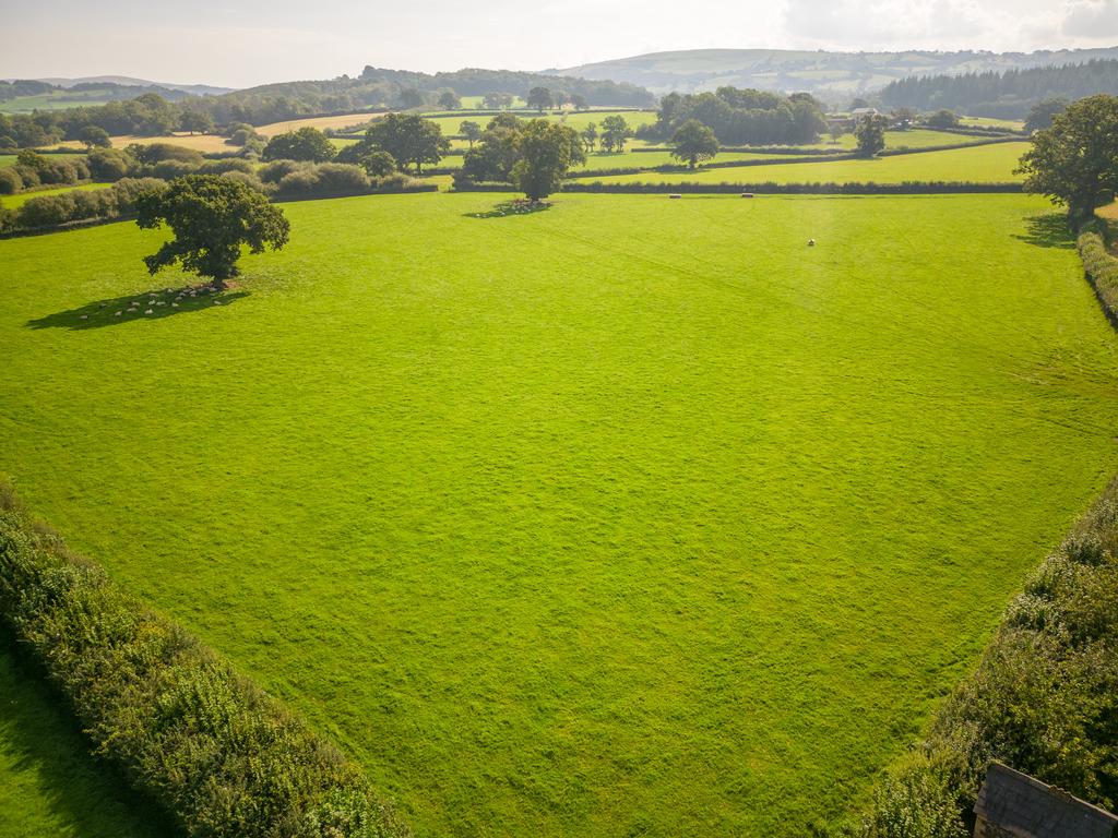 The Land