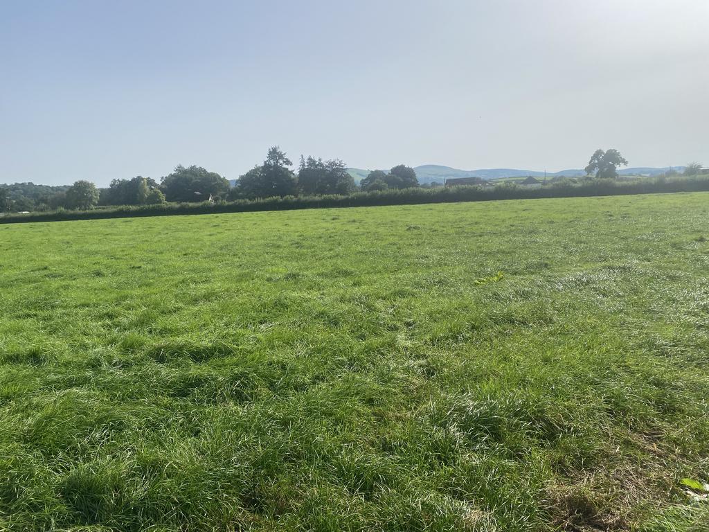 Land to South Side