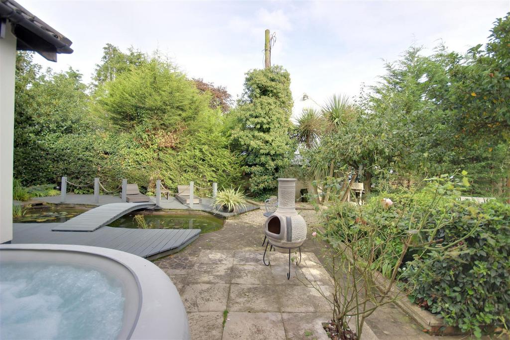 Alternative View