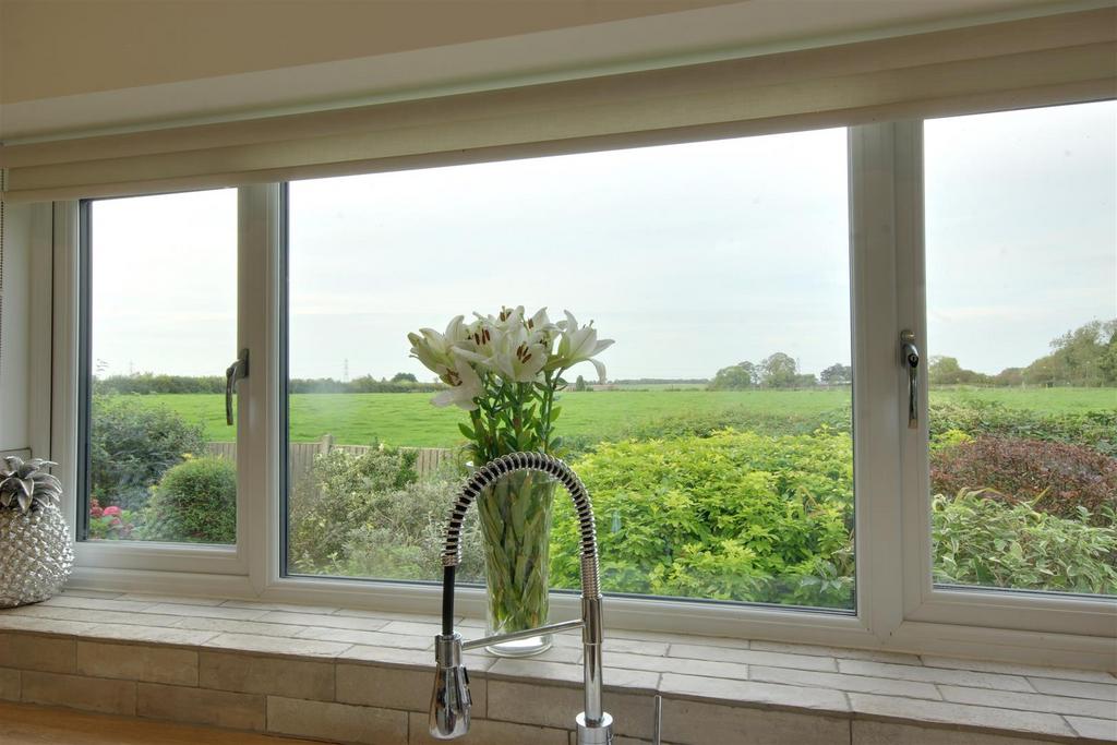 View from Kitchen