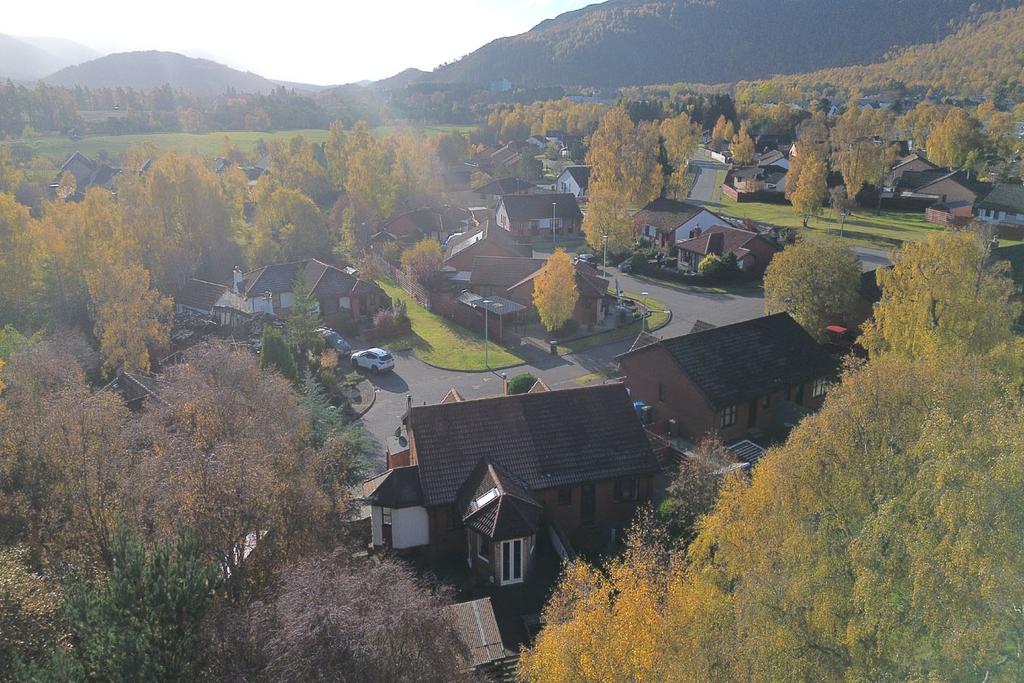 Drone View