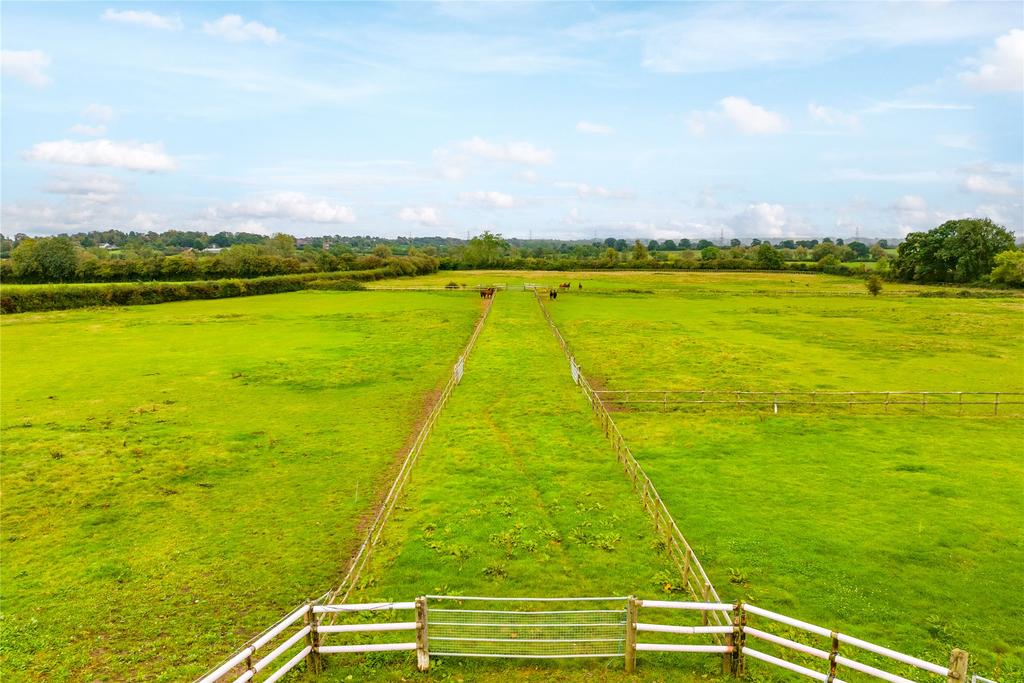 Paddock