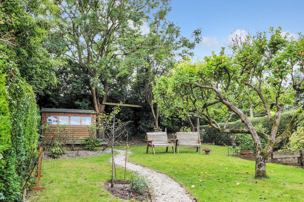 Apple orchard garden