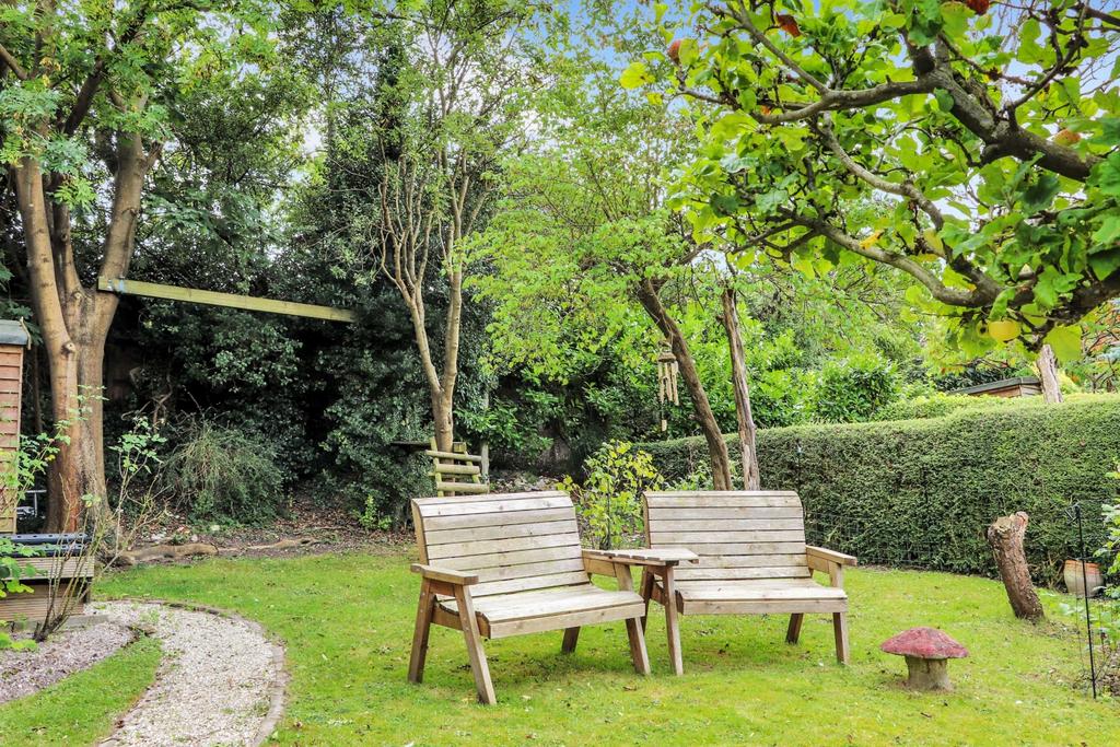 Apple orchard garden