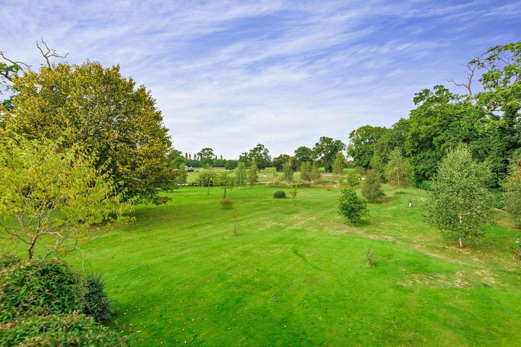 Grounds