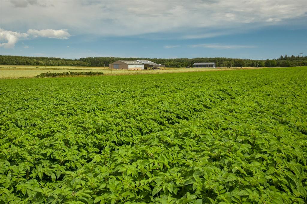 Greens Of Gardyne 2