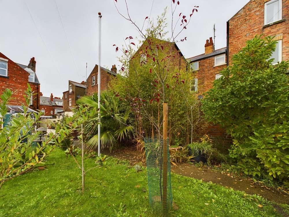 Garden: