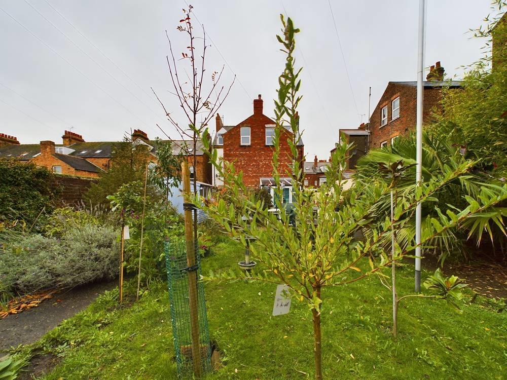 Garden: