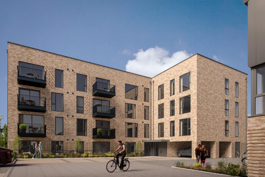 Buildig Cgi