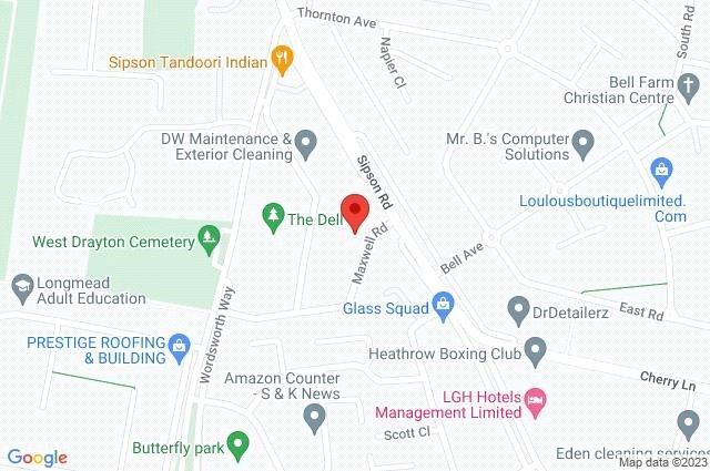 Google Maps Image