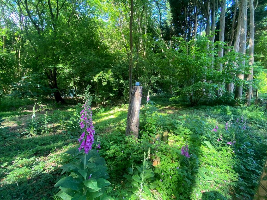 Land photo
