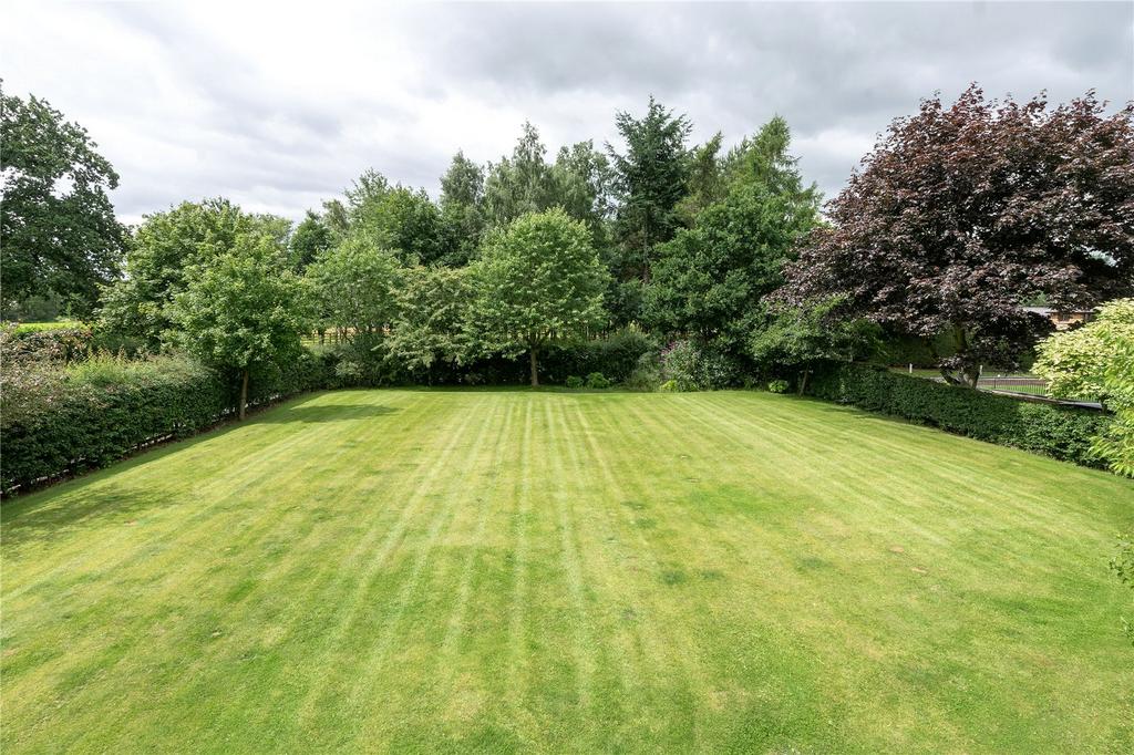 Side Paddock