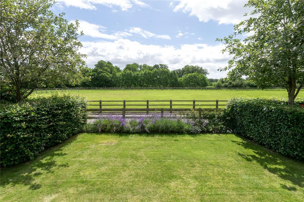 Rear Paddock