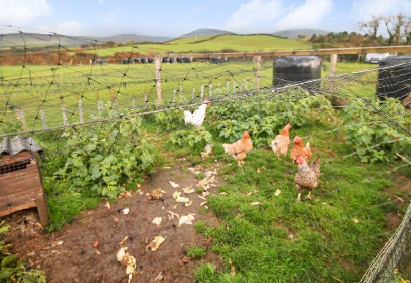 Ballagawne Farm