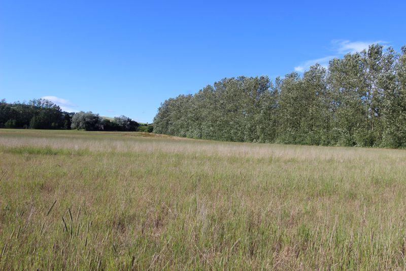 Plot 8