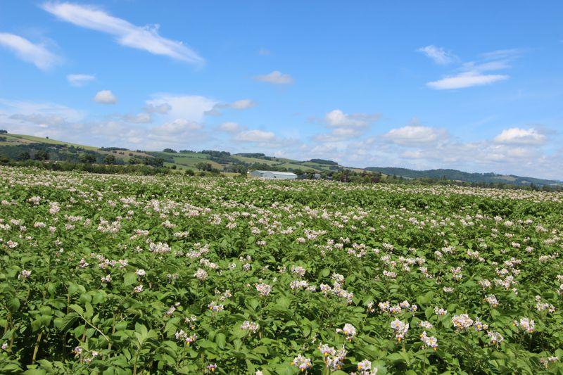 Plot 5