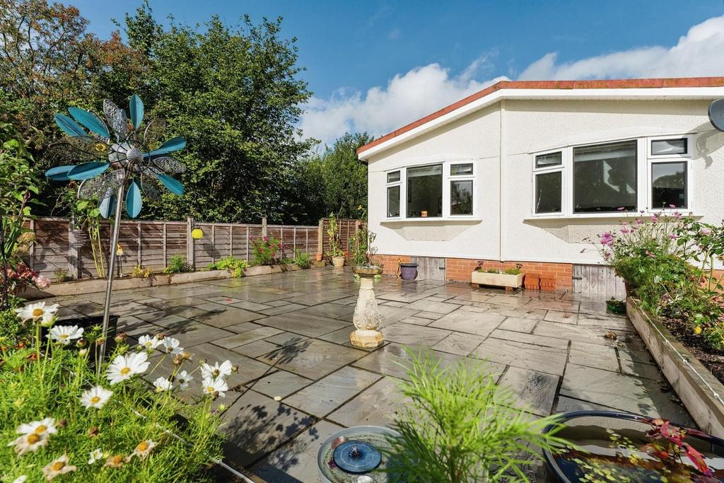 20.jpg