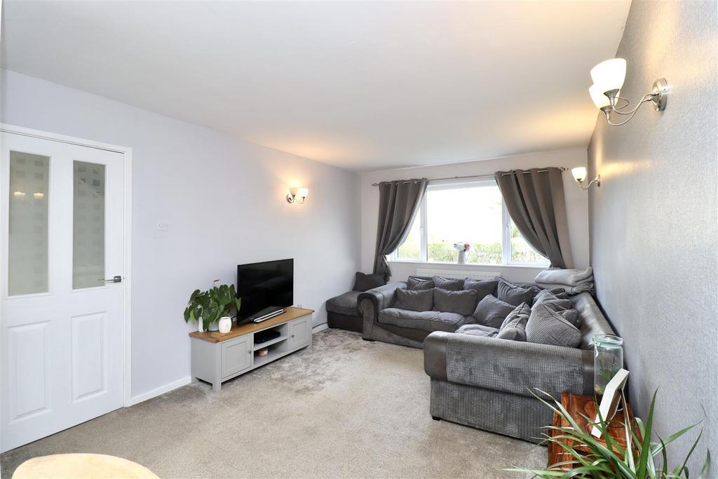 IMG 8158.jpeg