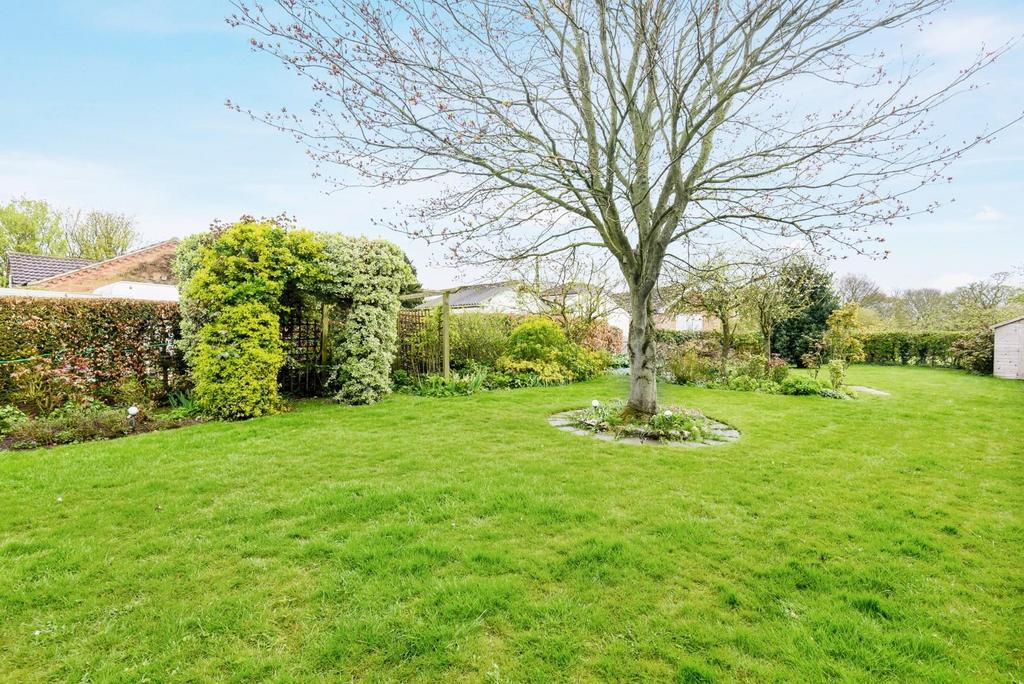 2nd view GARDEN.JPG