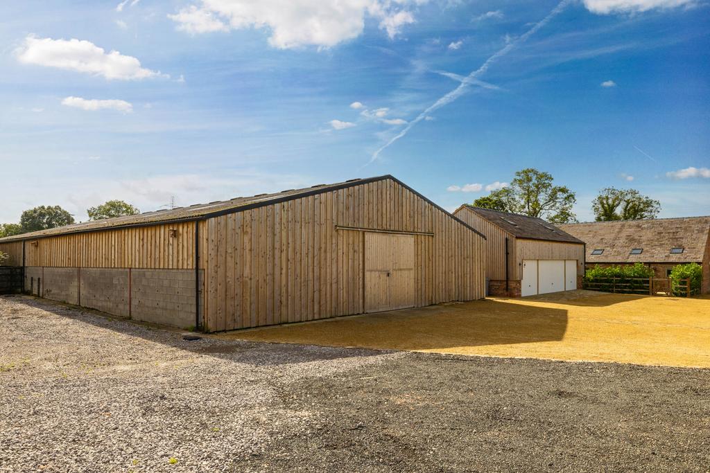 20230921-1205 Maison Haus - Blakeley Stables, Knut
