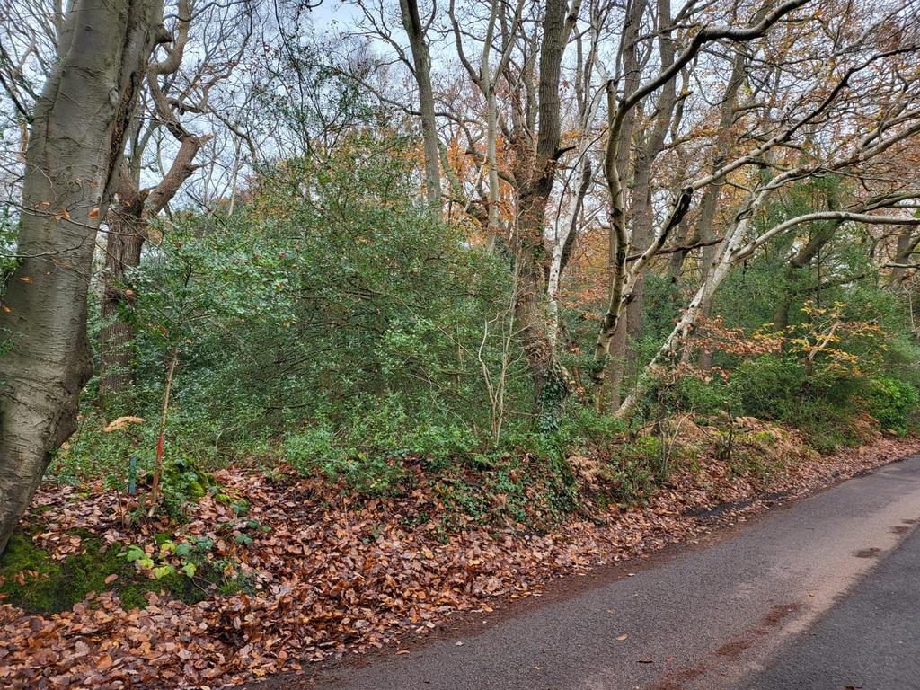 Powder Mill Lane, Tunbridge Wells TN4 Land for sale £5,000