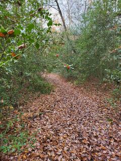 undefined, Powder Mill Lane, Tunbridge Wells TN4