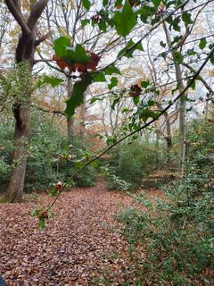 undefined, Powder Mill Lane, Tunbridge Wells TN4