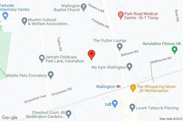 Google Maps Image