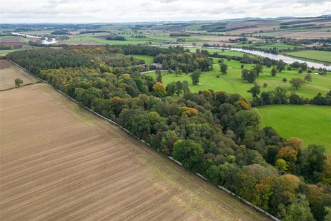 Land for sale, Amenity Woodland, Tanlaw Wood, Kelso, Scottish Borders, TD5
