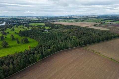 Land for sale, Amenity Woodland, Tanlaw Wood, Kelso, Scottish Borders, TD5