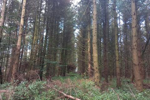 Land for sale, Amenity Woodland, Tanlaw Wood, Kelso, Scottish Borders, TD5