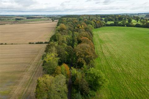 Land for sale, Amenity Woodland, Tanlaw Wood, Kelso, Scottish Borders, TD5