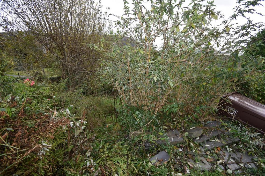 Lower Garden.JPG