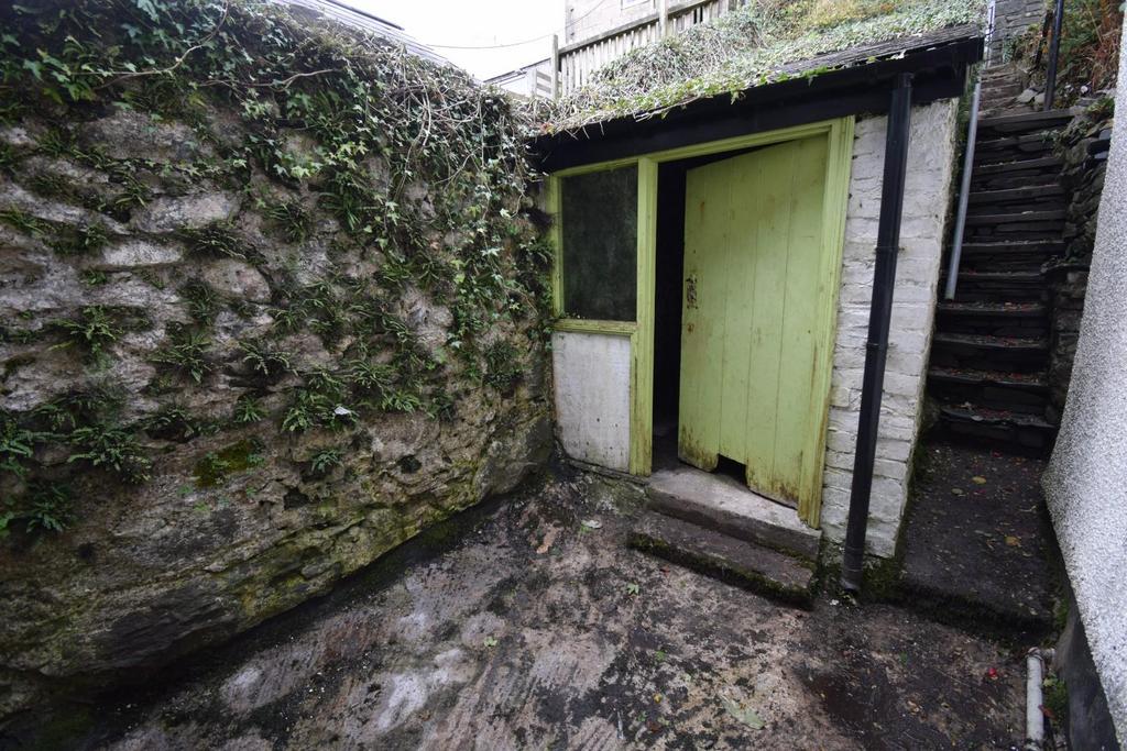 Shed Rear Yard.JPG