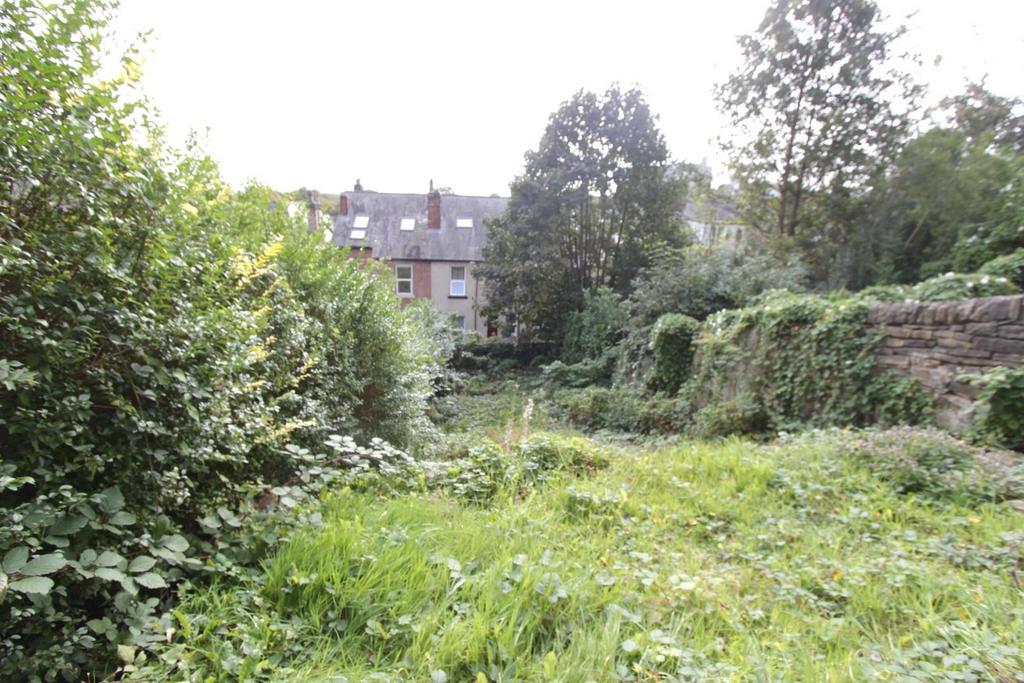2. Rear garden.JPG