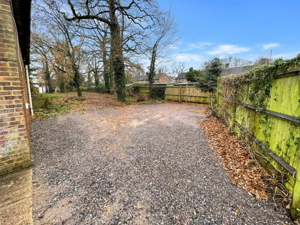 Potential Rear Yard Area.jpg
