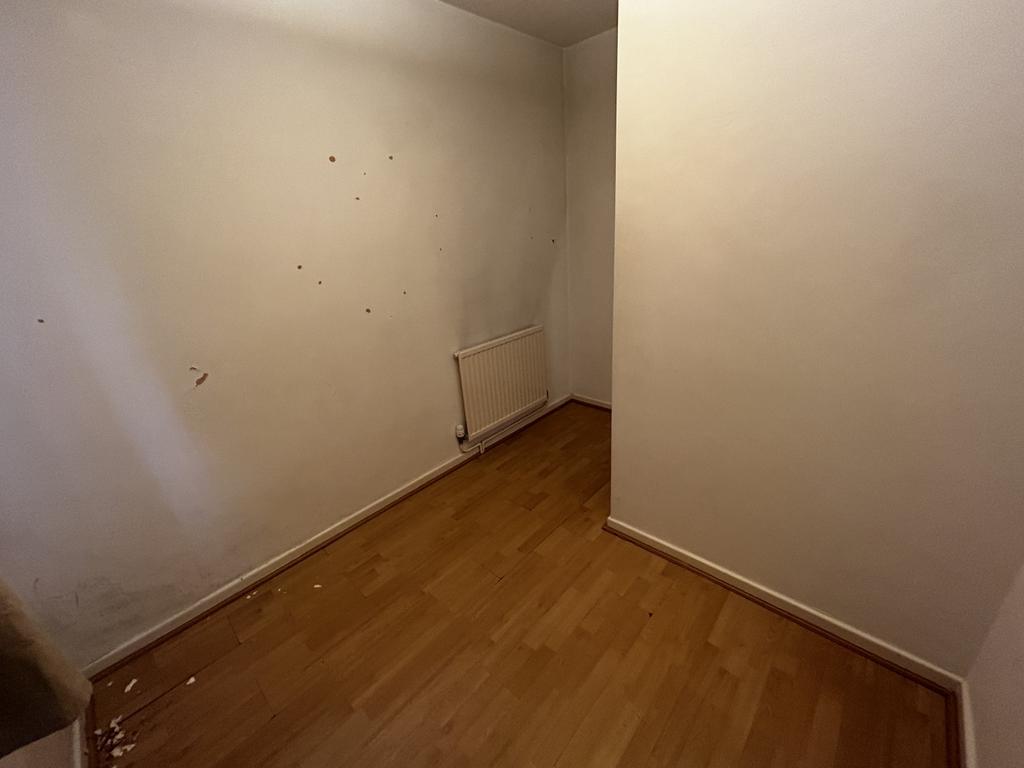 Img 3610