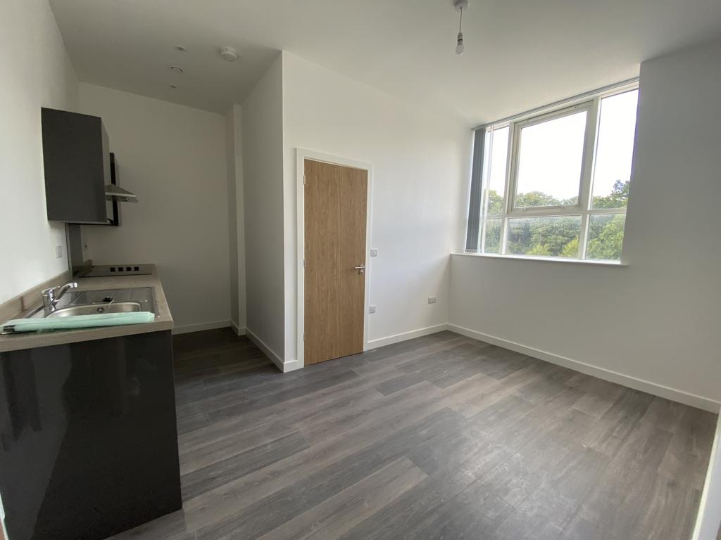 Open Plan Kitchen and Living Area