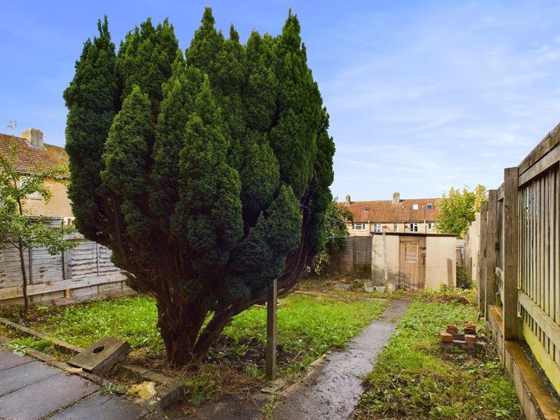 Rear garden