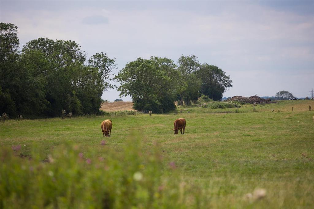 Heapfield Farm-19.jpg