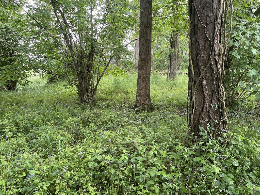 Brithem Bottom, Cullompton Farm land for sale £60,000