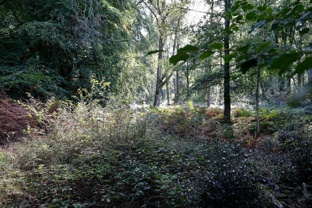Picture 7
