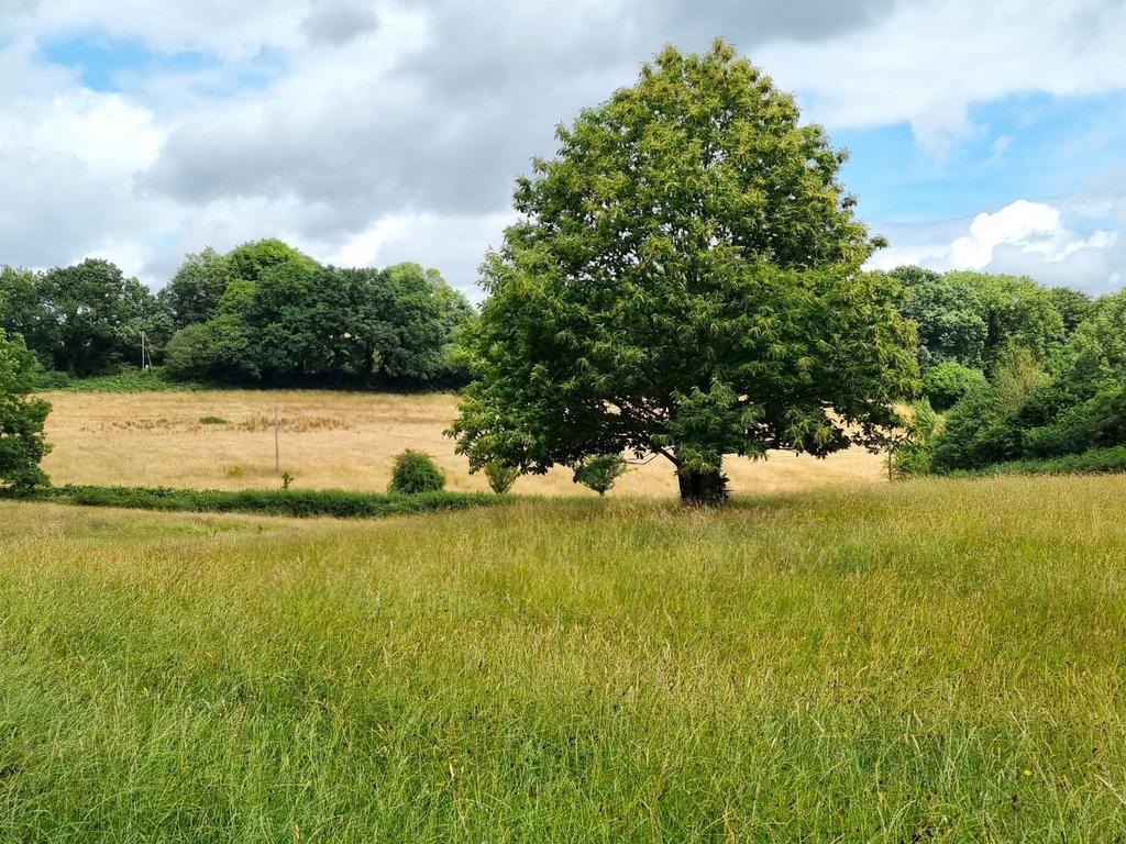 Uffculme - Seddons